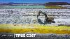 The True Cost Of Mining Electric Car Battery Metals True Cost Insider News
